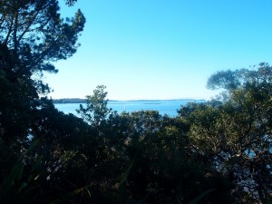 An Autumn Afternoon, North Shore, New Zealand