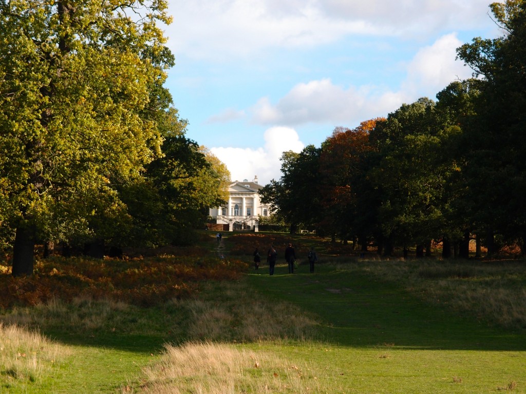 RIchmond Park, London