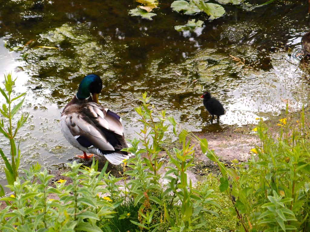 Kew Gardens, London