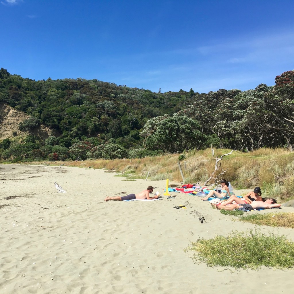 Beach, Wenderholm, New Zealand