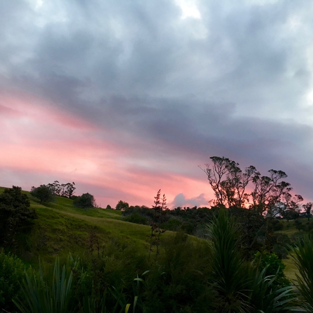 Sunset, Wenderholm, New Zealand