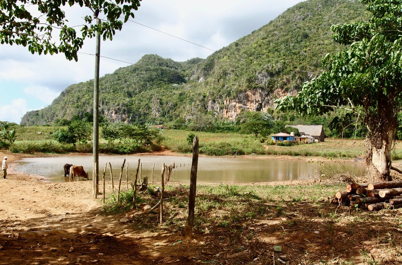 Vinales, Cuba