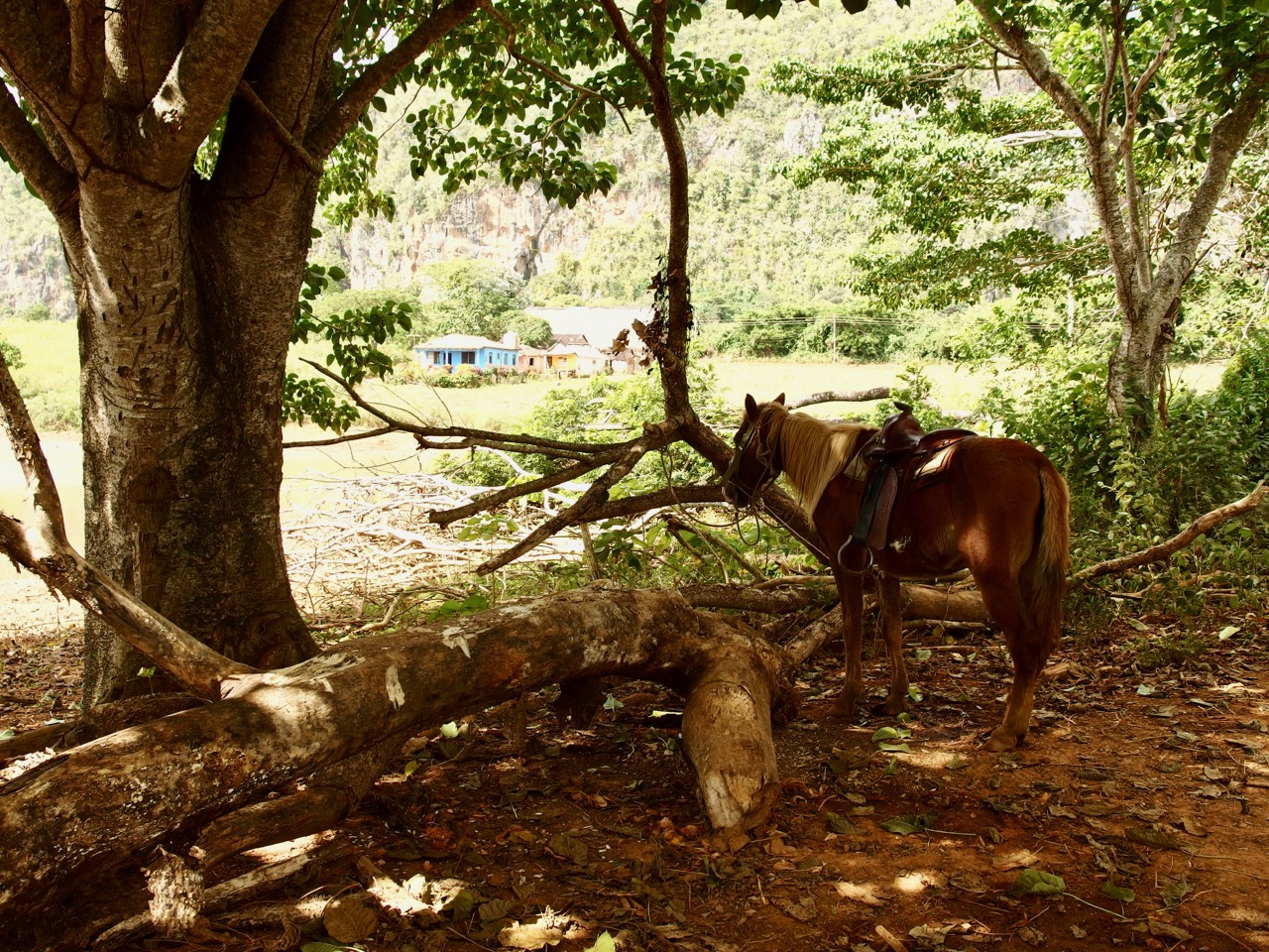 Vinales, Cuba