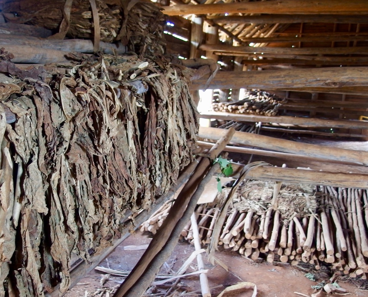 Vinales, Cuba