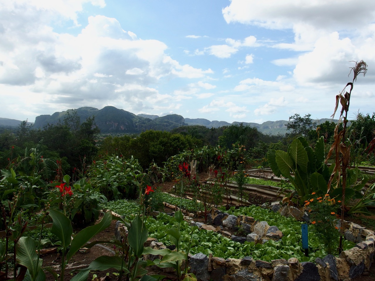 Vinales, Cuba