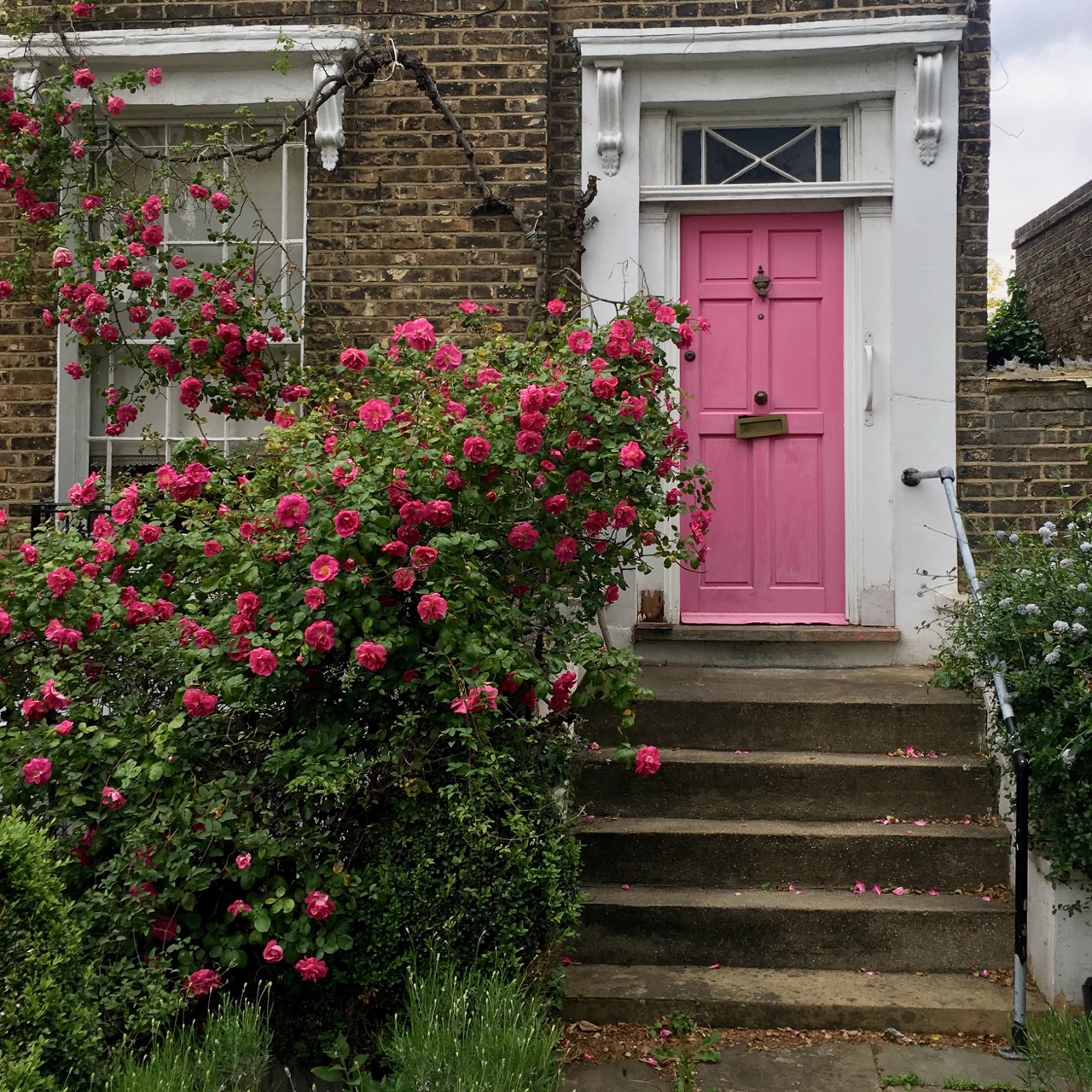 Pink door, Islington, London