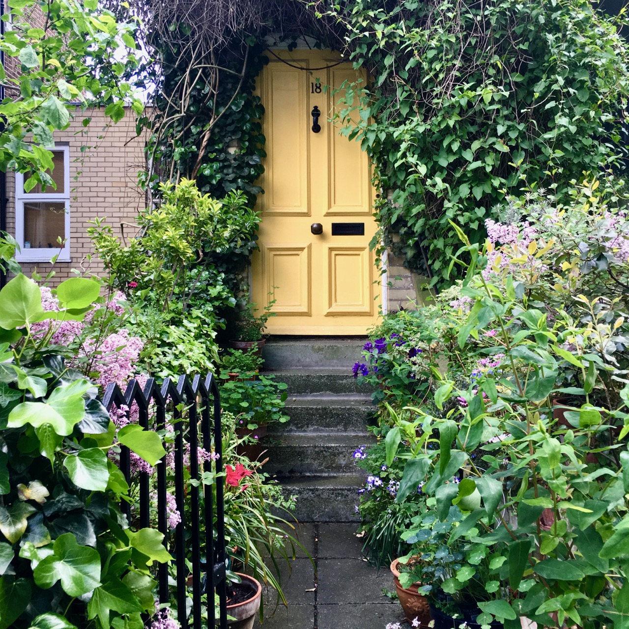 Yellow Door, Hampstead, London