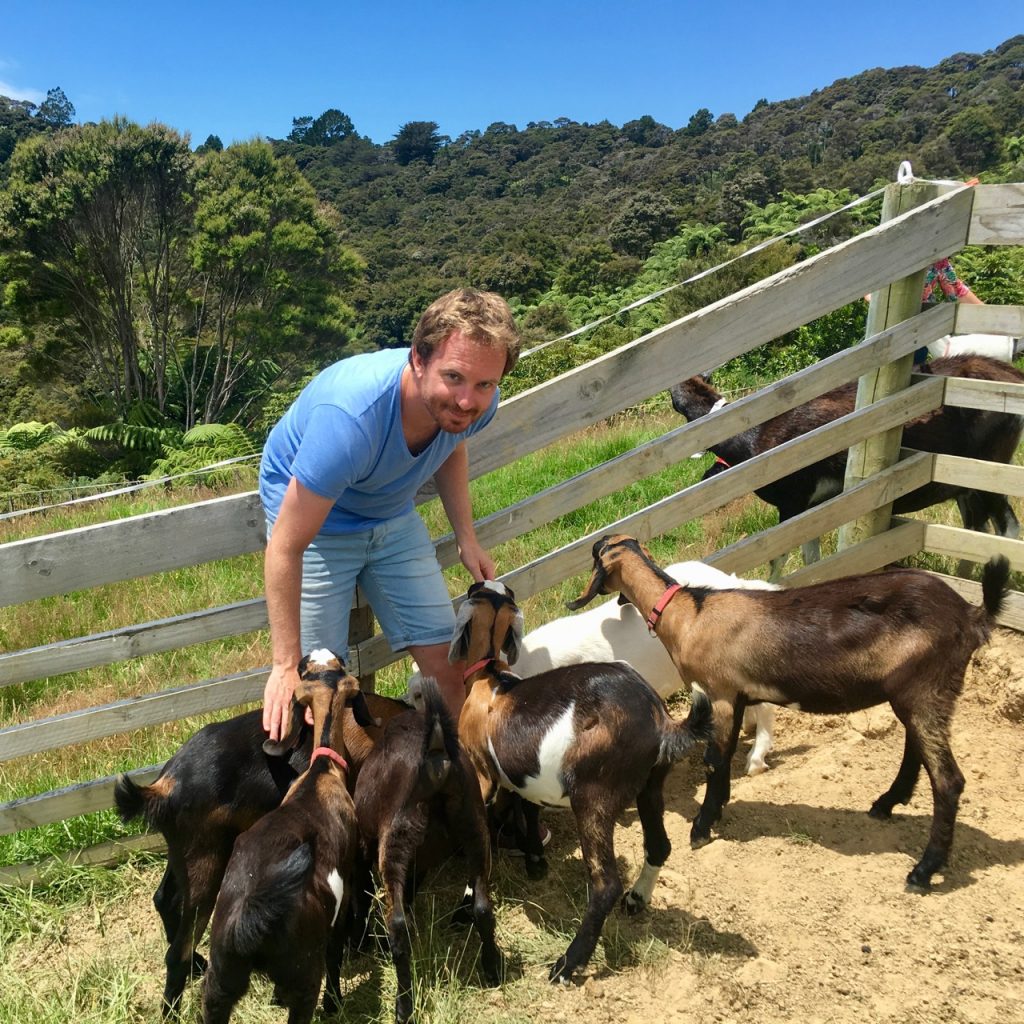 Joe, Farm, Goats