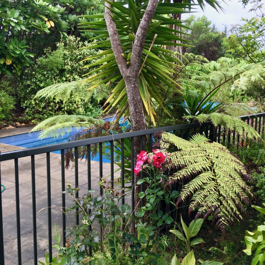 Farm, Pool, Puhoi